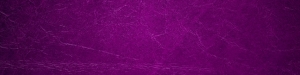 shutterstock 1